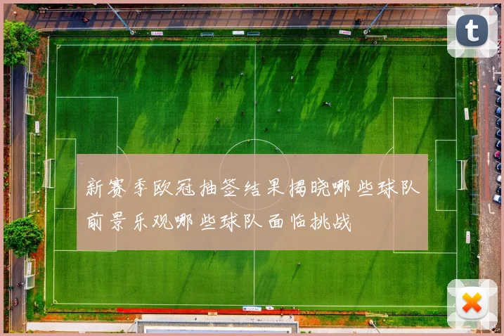 新赛季欧冠抽签结果揭晓哪些球队前景乐观哪些球队面临挑战