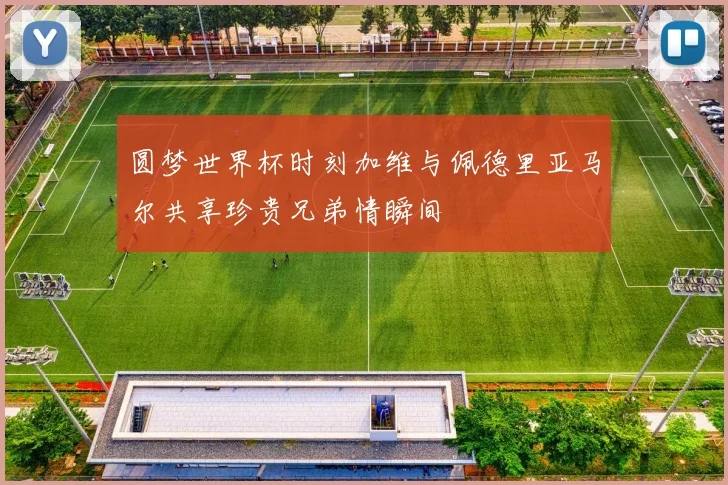圆梦世界杯时刻加维与佩德里亚马尔共享珍贵兄弟情瞬间